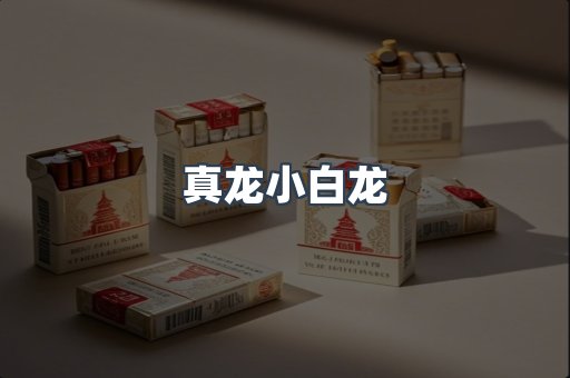 真龙小白龙